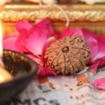 rudraksha and its benefits